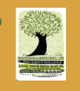 Greek Olive Towel